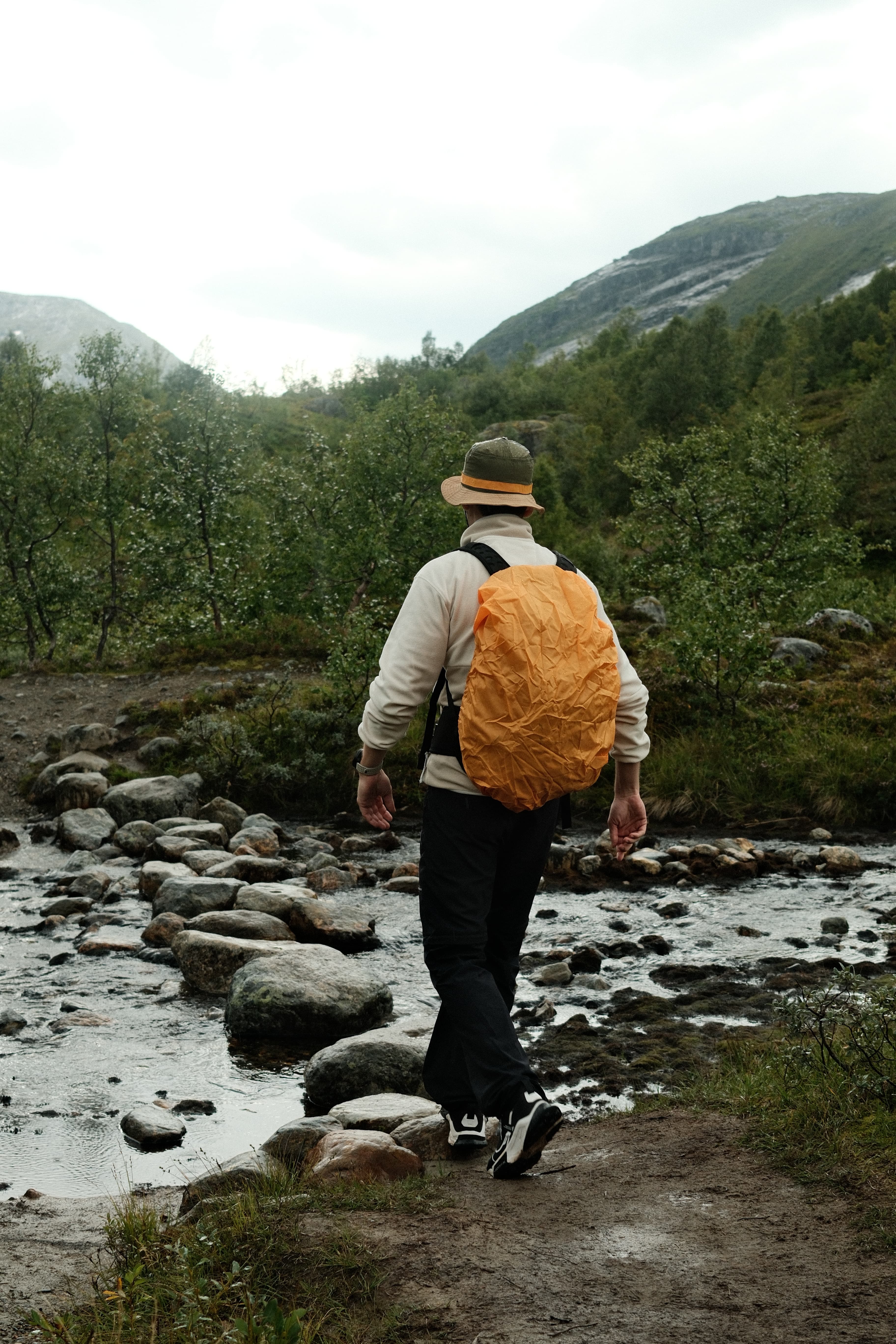 Wanderung durch eine nordische Berglandschaft
